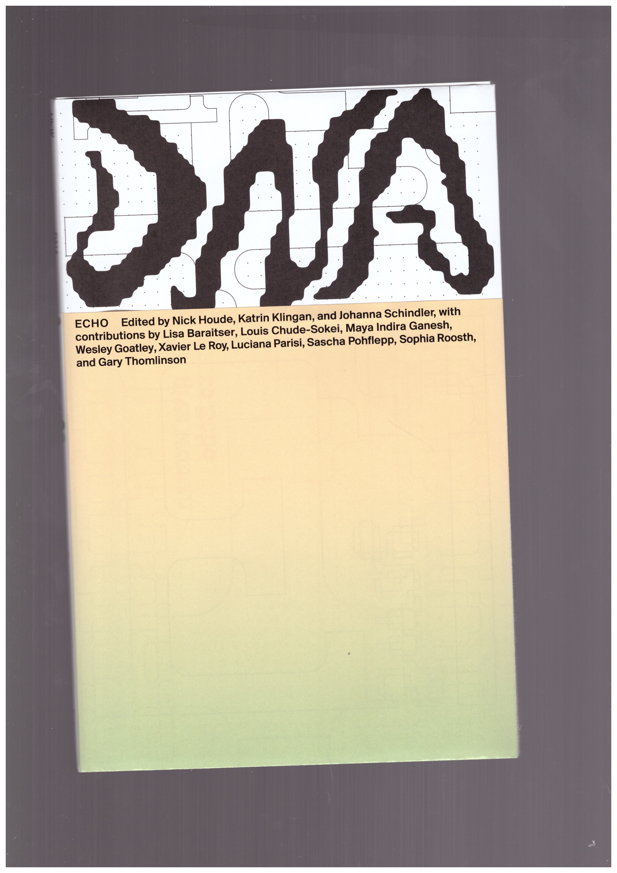 HOUDE, Nick; KLINGAN, Katrin; SCHINDLER, Johanna (eds.) - The New Alphabet/DNA #4: Echo